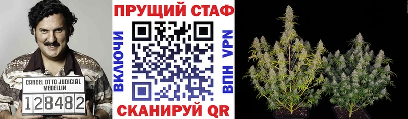 Купить наркотик Сим Каннабис БУТИРАТ Альфа ПВП ГАШ COCAIN