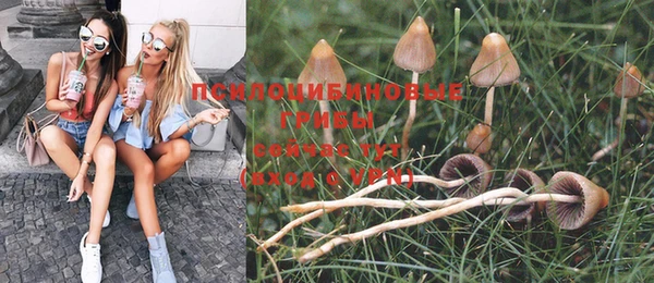 дживик Аркадак