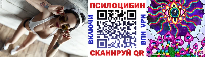 Псилоцибиновые грибы Cubensis  Сим 